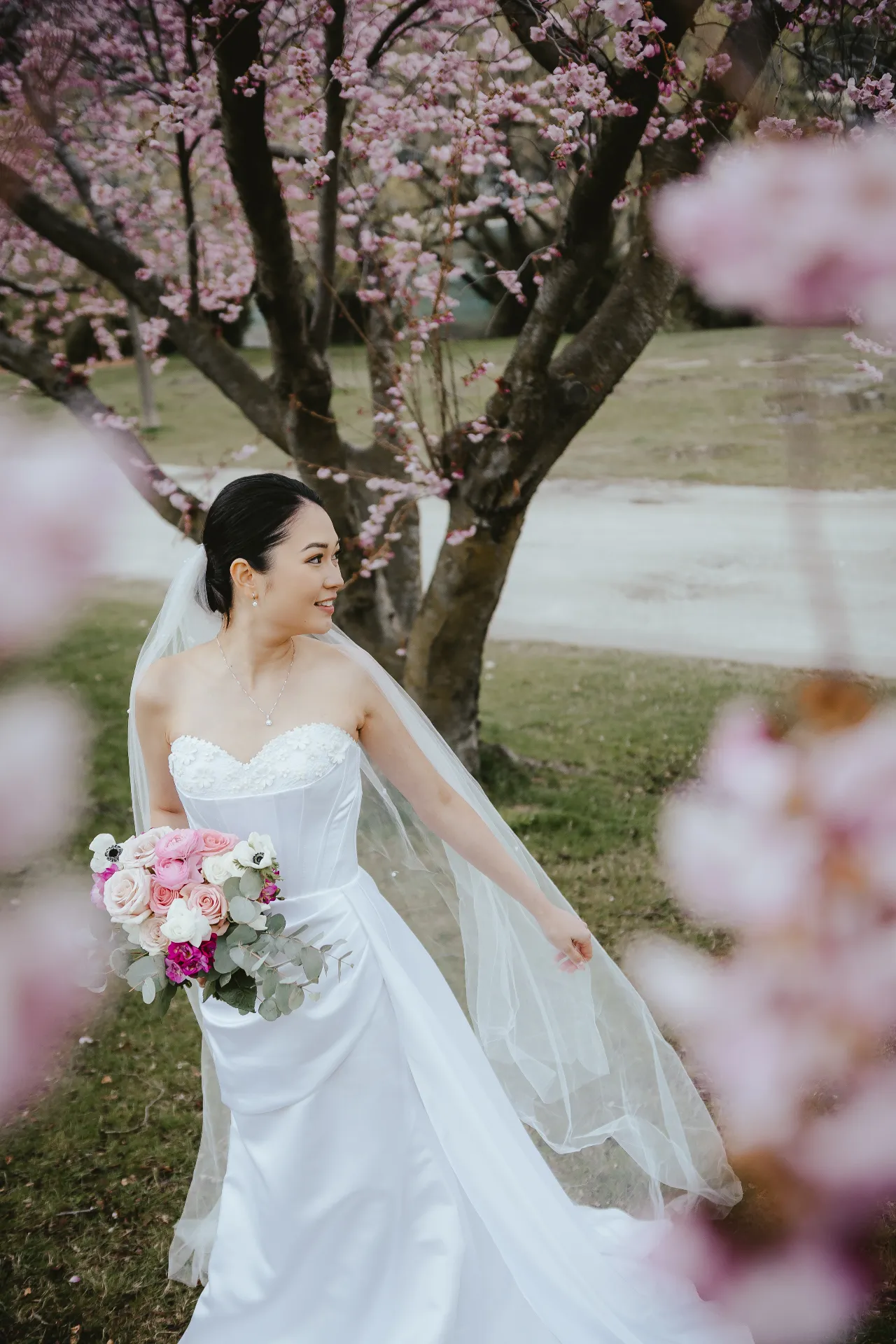 Bride among cherry blossom in spring near Queenstown